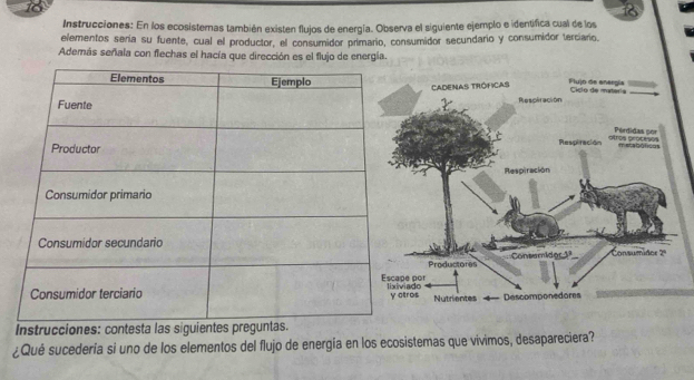 Instrucciones: En los ecosistemas también existen flujos de energía. Observa el siguiente ejemplo e identifica cual de los 
elementos sería su fuente, cual el productor, el consumidor primario, consumidor secundario y consumidor terciario. 
Además señala con flechas el hacía que dirección es el flujo de energía. 
Instrucciones: contesta 
¿Qué sucedería si uno de los elementos del flujo de energía en los ecosistemas que vivimos, desapareciera?