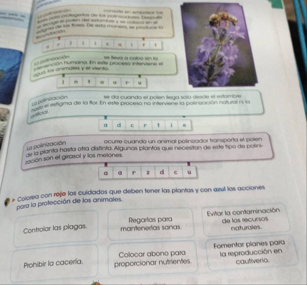 nfació 
La polinización 
consiste en embolsar las 
wo ero w 
taes para protegerias de lor polinizadores. Despuês 
e recoge el polen del estambré y se coloca en el 
lecundación estigmna de las flores. De esta monera, se produce la 
r 1 i i e 
La polinización a 1 f 1
se fleva a cabo sin la 
intervención humana. En este proceso interviene el 
agua, los animales y el viento. 
n t a a 
La polinización r u 
se da cuando el polen llega solo d 
haste el estigma de la flor. En este proceso no interviene la polinización natural ni la 
artificial. 
a d C r t i e 
La polinización 
ocurre cuando un animal polinizador transporta el polen 
de la planta hasta otra distinta. Algunas plantas que necesitan de este tipo de polini- 
zación son el girasol y los melones. 
a a r z d c u 
p Colorea con rojo los cuidados que deben tener las plantas y con azul las acciones 
para la protección de los animales. 
Evitar la contaminación 
Regarlas para de los recursos 
Controlar las plagas. mantenerlas sanas. naturales. 
Fomentar planes para 
Colocar abono para 
Prohibir la cacería. proporcionar nutrientes. la reproducción en 
cautiverio.