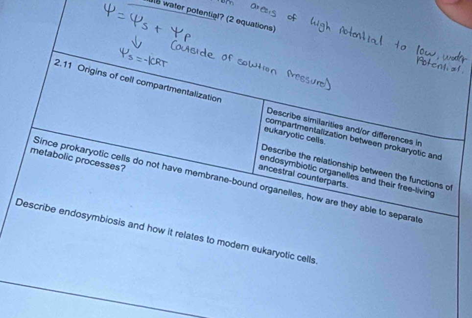 ue water potential? (2 equations) 
2.11 Origins of cell compartmentalization Describe similarities and/or differences in 
eukaryotic cells. 
compartmentalization between prokaryotic and 
metabolic processes? 
Describe the relationship between the functions of 
endosymbiotic organelles and their free-living 
ancestral counterparts. 
Since prokaryotic cells do not have membrane-bound organelles, how are they able to separate 
Describe endosymbiosis and how it relates to modern eukaryotic cells