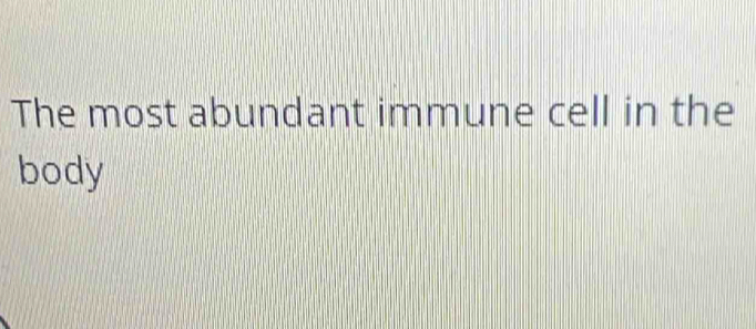 The most abundant immune cell in the 
body