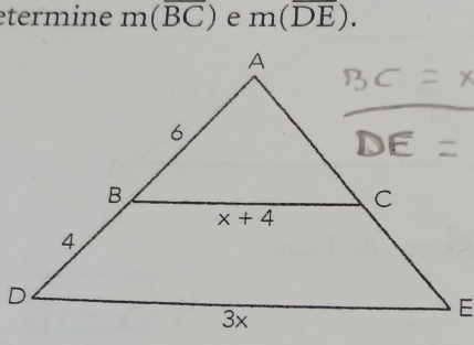 etermine m(overline BC) e m(overline DE).