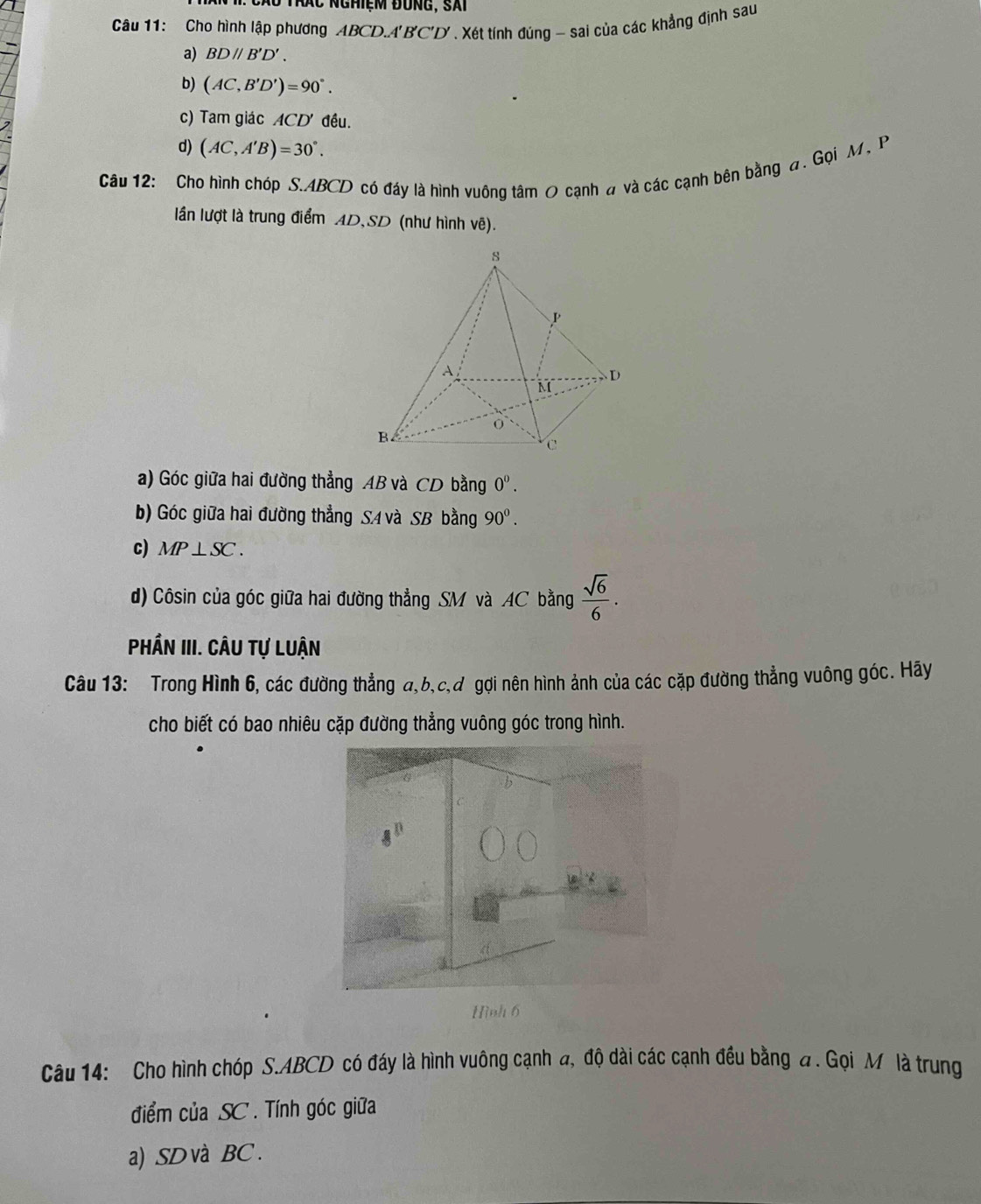 Áo thác nghiệm đùng, sái 
Câu 11: Cho hình lập phương ABCD. A'B'C'D'. Xét tính đúng - sai của các khẳng định sau 
a) BDparallel B'D'. 
b) (AC,B'D')=90°. 
c) Tam giác ACD ' đều. 
d) (AC,A'B)=30°. 
Câu 12: Cho hình chóp S.. 4BCD có đáy là hình vuông tâm 0 cạnh đ và các cạnh bên bằng a. Gọi M, P
lần lượt là trung điểm AD, SD (như hình vẽ). 
a) Góc giữa hai đường thẳng AB và CD bằng 0^0. 
b) Góc giữa hai đường thẳng SA và SB bằng 90^0. 
c) MP⊥ SC. 
d) Côsin của góc giữa hai đường thẳng SM và AC bằng  sqrt(6)/6 . 
Phần III. CÂu tự Luận 
Câu 13: Trong Hình 6, các đường thẳng a, b, c,đ gợi nên hình ảnh của các cặp đường thẳng vuông góc. Hãy 
cho biết có bao nhiêu cặp đường thẳng vuông góc trong hình.
d
3 
Hình 6 
Câu 14: Cho hình chóp S. ABCD có đáy là hình vuông cạnh đ, độ dài các cạnh đều bằng đ. Gọi Mỹ là trung 
điểm của SC. Tính góc giữa 
a) SD và BC.