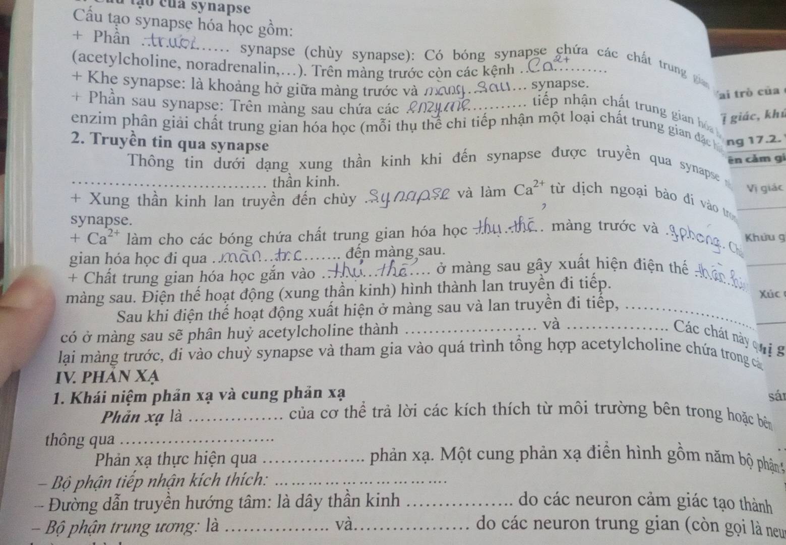 a tạo của synapse
Cầu tạo synapse hóa học gồm:
+ Phần .tr.
: .synapse (chùy synapse): Có bóng synapse chứa các chất trung  
(acetylcholine, noradrenalin,...). Trên màng trước còn các kệnh .
+ Khe synapse: là khoảng hở giữa màng trước và mưg aU... synapse.
Vai trò của
+ Phần sau synapse: Trên màng sau chứa các
A        .tiếp nhận chất trung gian h a 
7 giác, khú
enzim phân giải chất trung gian hóa học (mỗi thụ thể chỉ tiếp nhận một loại chất trung gian đặc h ng 17.2.
2. Truyền tin qua synapse
ên cảm gi
Thông tin dưới dạng xung thần kinh khi đến synapse được truyền qua synapse
thần kinh.
Vị giác
+ Xung thần kinh lan truyền đến chùy . 3e và làm Ca^(2+) từ dịch ngoại bào đi vào tr
_
_
synapse.
+Ca^(2+) làm cho các bóng chứa chất trung gian hóa học th 1 màng trước và .9p Khứu g
gian hóa học đi qua nmãn nc .. đến màng sau.
. 
+ Chất trung gian hóa học gắn vào ..
ở  m à ng sau gây xuất hiện điện thể  
_
màng sau. Điện thế hoạt động (xung thần kinh) hình thành lan truyền đi tiếp.
Xúc
Sau khi điện thế hoạt động xuất hiện ở màng sau và lan truyền đi tiếp,
có ở màng sau sẽ phân huỷ acetylcholine thành _và_
_
Các chát này quị  g
lại màng trước, đi vào chuỳ synapse và tham gia vào quá trình tổng hợp acetylcholine chứa trong cá
IV. PHAN XA
1. Khái niệm phản xạ và cung phản xạ sái
Phản xạ là_
của cơ thể trả lời các kích thích từ môi trường bên trong hoặc bên
thông qua_
Phản xạ thực hiện qua _phản xạ.  Một cung phản xạ điển hình gồm năm bộ phận5
- Bộ phận tiếp nhận kích thích:_
-- Đường dẫn truyền hướng tâm: là dây thần kinh _do các neuron cảm giác tạo thành
và
-  Bộ phận trung ương: là __do các neuron trung gian (còn gọi là neu