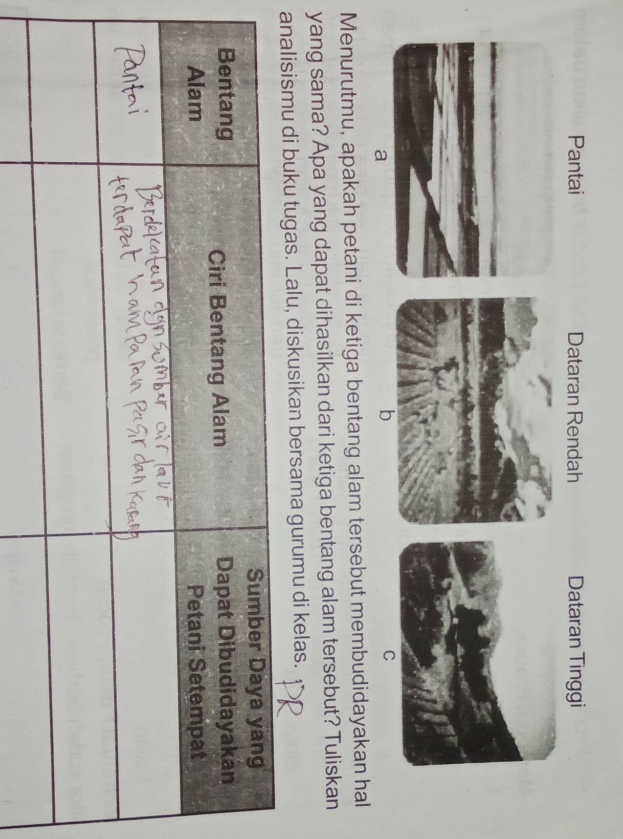 Pantai Dataran Rendah Dataran Tinggi 
a 
b 
C 
Menurutmu, apakah petani di ketiga bentang alam tersebut membudidayakan hal 
yang sama? Apa yang dapat dihasilkan dari ketiga bentang alam tersebut? Tuliskan 
analisismu di buku tugas. Lalu, diskusikan bersama gurumu di kelas.