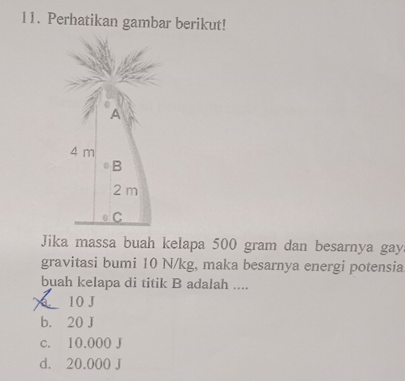 Perhatikan gambar berikut!
A
4 m
B
2 m
C
Jika massa buah kelapa 500 gram dan besarnya gay.
gravitasi bumi 10 N/kg, maka besarnya energi potensia
buah kelapa di titik B adalah ....
a 10 J
b. 20 J
c. 10.000 J
d. 20.000 J