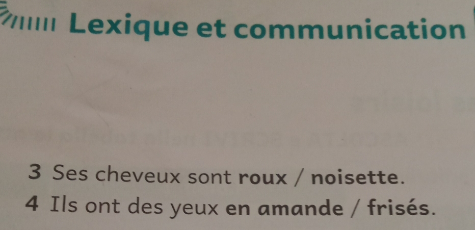 Lexique et communication 
3 Ses cheveux sont roux / noisette. 
4 Ils ont des yeux en amande / frisés.