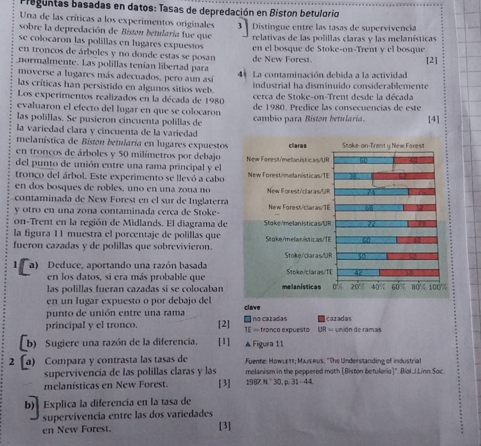 Preguntas basadas en datos: Tasas de depredación en Biston betularid
Una de las críticas a los experimentos originales 3  Distingue entre las tasas de supervivencia
sobre la depredación de Biston betularia fue que relativas de las polillas claras y las melanísticas
se colocaron las polillas en lugares expuestos en el bosque de Stoke-on-Trent y el bosque
en troncos de árboles y no donde estas se posan de New Forest.
normalmente. Las polillas tenían libertad para [2]
moverse a lugares más adecuados, pero aun así 4 La contaminación debida a la actividad
las críticas han persistido en algunos sitios web. industrial ha disminuido considerablemente
Los experimentos realizados en la década de 1980 cerca de Stoke-on-Trent desde la década
evaluaron el efecto del lugar en que se colocaron de 1980. Predice las consecuencias de este
las polillas. Se pusieron cincuenta polillas de cambio para Biston betularia. [4]
la variedad clara y cincuenta de la variedad
melanística de Biston betularia en lugares expuestos
en troncos de árboles y 50 milímetros por debajo 
del punto de unión entre una rama principal y el
tronco del árbol. Este experimento se llevó a cabo 
en dos bosques de robles, uno en una zona no
contaminada de New Forest en el sur de Inglaterra
y otro en una zona contaminada cerca de Stoke-
on-Trent en la región de Midlands. El diagrama de
la figura 11 muestra el porcentaje de polillas que 
fueron cazadas y de polillas que sobrevivieron.
1 a) Deduce, aportando una razón basada
en los datos, si era más probable que
las polillas fueran cazadas si se colocaban 
en un lugar expuesto o por debajo del
punto de unión entre una rama clave
no cazadas cazadas
principal y el tronco. [2] IE= tronco expuesto UR= unión de ramas
b)  Sugiere una razón de la diferencia. [1] A Figura 11
2 a) Compara y contrasta las tasas de Fuente: HowLETT; MAJERUs. "The Understanding of industrial
supervivencia de las polillas claras y las melanism in the peppered moth [Biston betuloria]*. Bíol.J.Linn Soc.
melanísticas en New Forest. [3] 1987 N.^circ 30,p.31-44.
b) Explica la diferencia en la tasa de
supervivencia entre las dos variedades
en New Forest.
[3]