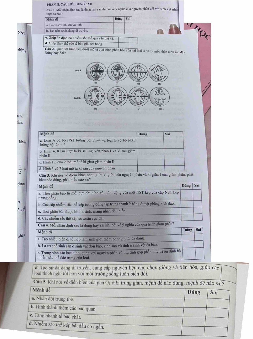 phảN II. CÂU hỏI đứnG SAI:
Câu 1. Mỗi nhận định sau là đúng hay sai khi nói về ý nghĩa của nguyên phân đối với sinh vật nhân
thực đa bào?
Mệnh đề Đúng Sai
a. Là cơ sở sinh sản vô tính.
NST
b. Tạo nên sự đa dạng di truyền.
c. Giúp ổn định bộ nhiễm sắc thể qua các thế hệ.
d. Giúp thay thể các tế bào già, sai hóng.
động
Câu 2. Quan sát hình bên dưới mô tả quá trình phân bào của hai loài A và B, mỗi nhận định sau đây
Đúng hay Sai?
Iần.
lần.
khá
 1/2  Ở
Câu 3. Khi nói về điểm khác nh
biểu nào đúng, phát biểu nào sai?
đư
7.
êu 
nh
d. Tạo sự đa dạng di truyền, cung cấp nguyên liệu cho chọn giống và tiến hóa, giúp các
loài thích nghi tốt hơn với môi trường sống luôn biến đổi.
Cầu 5. Khi nói về diễn biến của pha Gị ở kì trung gian, mệnh đề nào đúng, mệnh để nào sai?