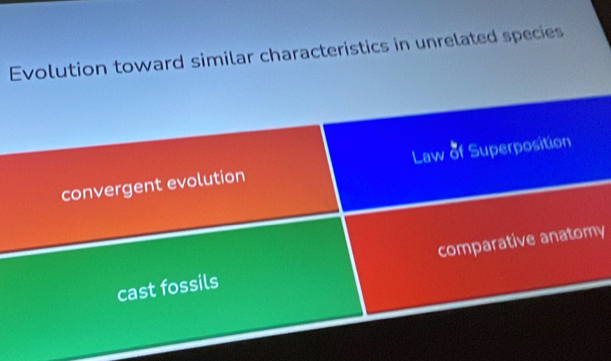 Evolution toward similar characteristics in unrelated species
Law of Superposition
convergent evolution
cast fossils comparative anatomy