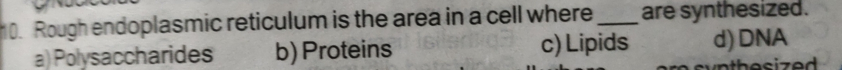 Rough endoplasmic reticulum is the area in a cell where_ are synthesized.
c) Lipids
a) Polysaccharides b) Proteins d) DNA