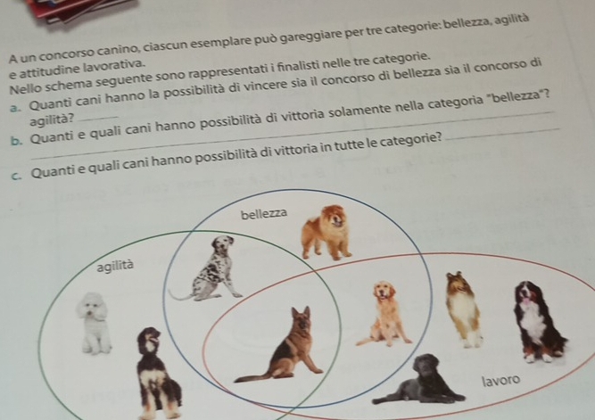 A un concorso canino, ciascun esemplare può gareggiare per tre categorie: bellezza, agilità 
e attitudine lavorativa. 
Nello schema seguente sono rappresentati i finalisti nelle tre categorie. 
a. Quanti cani hanno la possibilità di vincere sia il concorso di bellezza sia il concorso di 
b. Quanti e quali cani hanno possibilità di vittoria solamente nella categoria "bellezza"? 
agilità? 
c. Quanti e quali cani hanno possibilità di vittoria in tutte le categorie?