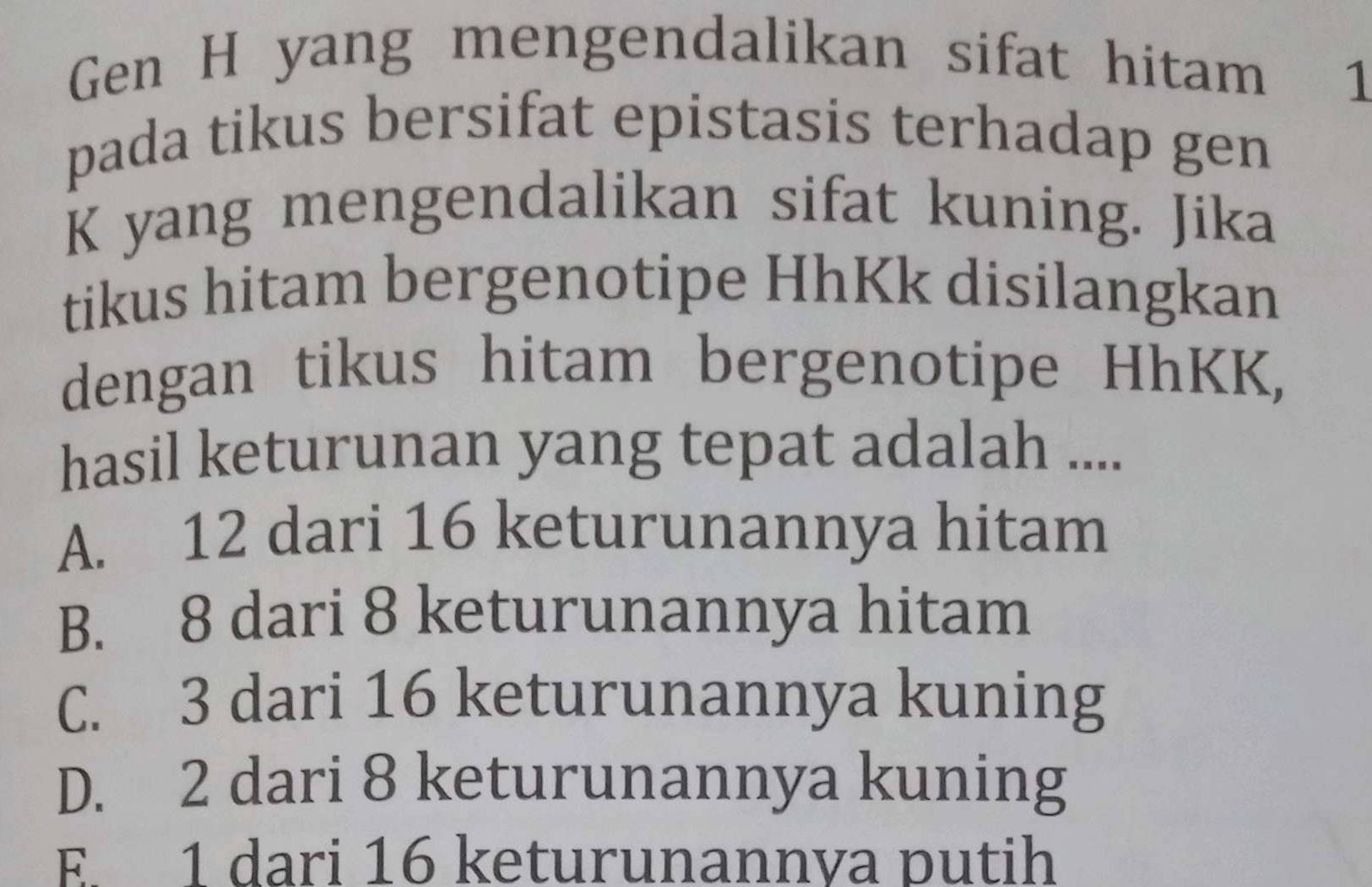 Gen H yang mengendalikan sifat hitam 1
pada tikus bersifat epistasis terhadap gen
K yang mengendalikan sifat kuning. Jika
tikus hitam bergenotipe HhKk disilangkan
dengan tikus hitam bergenotipe HhKK,
hasil keturunan yang tepat adalah ....
A. 12 dari 16 keturunannya hitam
B. 8 dari 8 keturunannya hitam
C. 3 dari 16 keturunannya kuning
D. 2 dari 8 keturunannya kuning
E. 1 dari 16 keturunannva putih