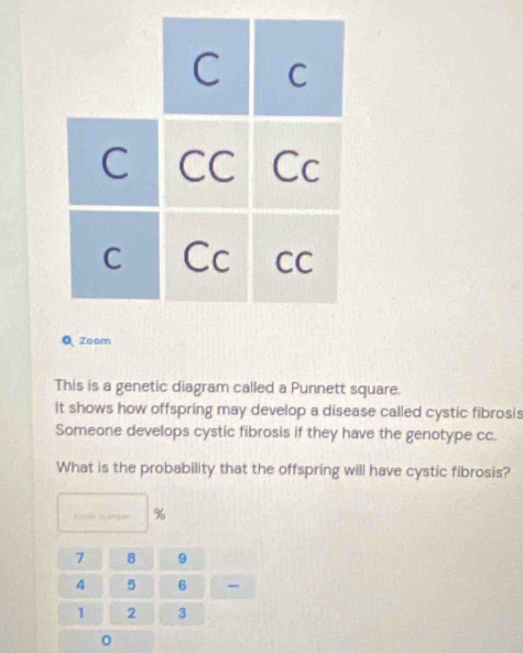 Zoom 
This is a genetic diagram called a Punnett square. 
It shows how offspring may develop a disease called cystic fibrosis 
Someone develops cystic fibrosis if they have the genotype cc. 
What is the probability that the offspring will have cystic fibrosis? 
Resas mdeto %
7 8 9
4 5 6
1 2 3
0