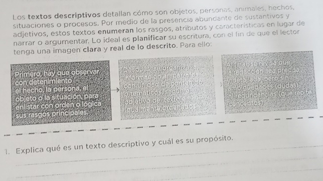 Los textos descriptivos detallan cómo son objetos, personas, animales, hechos, 
situaciones o procesos. Por medio de la presencia abundante de sustantivos y 
adjetivos, estos textos enumeran los rasgos, atributos y características en lugar de 
narrar o argumentar. Lo ideal es planificar su escritura, con el fin de que el lector 
tenga una imagen clara y real de lo descrito. Para ello: 
Desouds, se orcaniza la Al final, se ravisa que 
Información en parraro la redacción sea precisa 
con unidadide contenido y detallada pero sin 
o temáticos, segunial ambiguedades (dudas) 
objetivo del texto e n redundancias (que repite 
igualmente ordenados conceptos) 
_ 
1. Explica qué es un texto descriptivo y cuál es su propósito. 
_ 
_