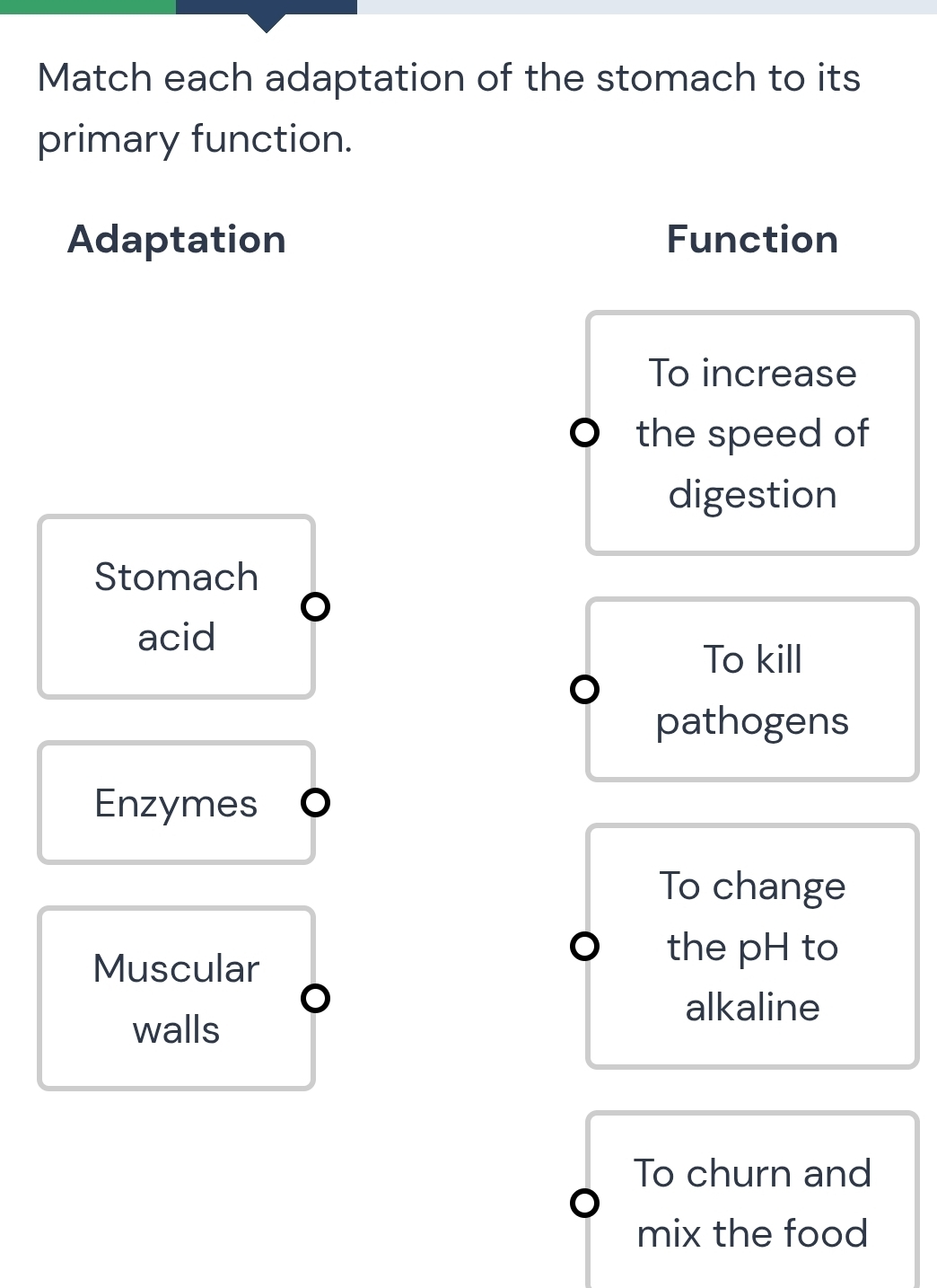 Solved: Match each adaptation of the stomach to its primary function ...