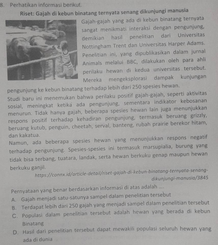 Perhatikan informasi berikut.
Riset: Gajah di kebun binatang ternyata senang dikunjungi manusia
ajah-gajah yang ada di kebun binatang ternyata
angat menikmati interaksi dengan pengunjung,
emikian hasil penelitian dari Universitas
ottingham Trent dan Universitas Harper Adams.
Penelitian ini, yang dipublikasikan dalam jurnal
Animals melalui BBC, dilakukan oleh para ahli
perilaku hewan di kedua universitas tersebut.
Mereka mengeksplorasi dampak kunjungan
pengunjung ke kebun binatang terhadap lebih dari 250 spesies hewan.
Studi baru ini menemukan bahwa perilaku positif gajah-gajah, seperti aktivitas
sosial, meningkat ketika ada pengunjung, sementara indikator kebosanan
menurun. Tidak hanya gajah, beberapa spesies hewan lain juga menunjukkan
respons positif terhadap kehadiran pengunjung, termasuk beruang grizzly,
beruang kutub, penguin, cheetah, serval, banteng, rubah prairie berekor hitam,
dan kakatua.
Namun, ada beberapa spesies hewan yang menunjukkan respons negatif
terhadap pengunjung. Spesies-spesies ini termasuk marsupialia, burung yang
tidak bisa terbang, tuatara, landak, serta hewan berkuku genap maupun hewan
berkuku ganjil.
https://connx.id/article-detail/riset-gajah-di-kebun-binatang-ternyata-senang-
dikunjungi-manusia/3845
Pernyataan yang benar berdasarkan informasi di atas adalah ....
A. Gajah menjadi satu-satunya sampel dalam penelitian tersebut
B. Terdapat lebih dari 250 gajah yang menjadi sampel dalam penelitian tersebut
C. Populasi dalam penelitian tersebut adalah hewan yang berada di kebun
Binatang
D. Hasil dari penelitian tersebut dapat mewakili populasi seluruh hewan yang
ada di dunia