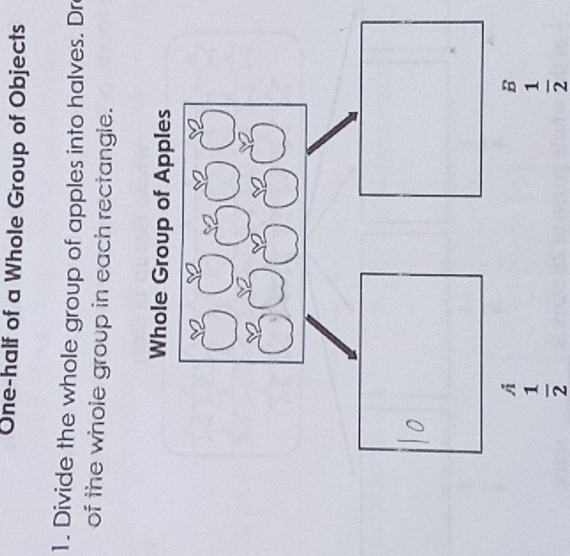 One-half of a Whole Group of Objects 
1. Divide the whole group of apples into halves. Dr 
of the whole group in each rectangle.
 1/2 
 1/2 