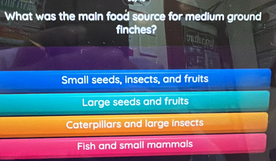 What was the main food source for medium ground
finches?
mullusing
Small seeds, insects, and fruits
Large seeds and fruits
Caterpillars and large insects
Fish and small mammals