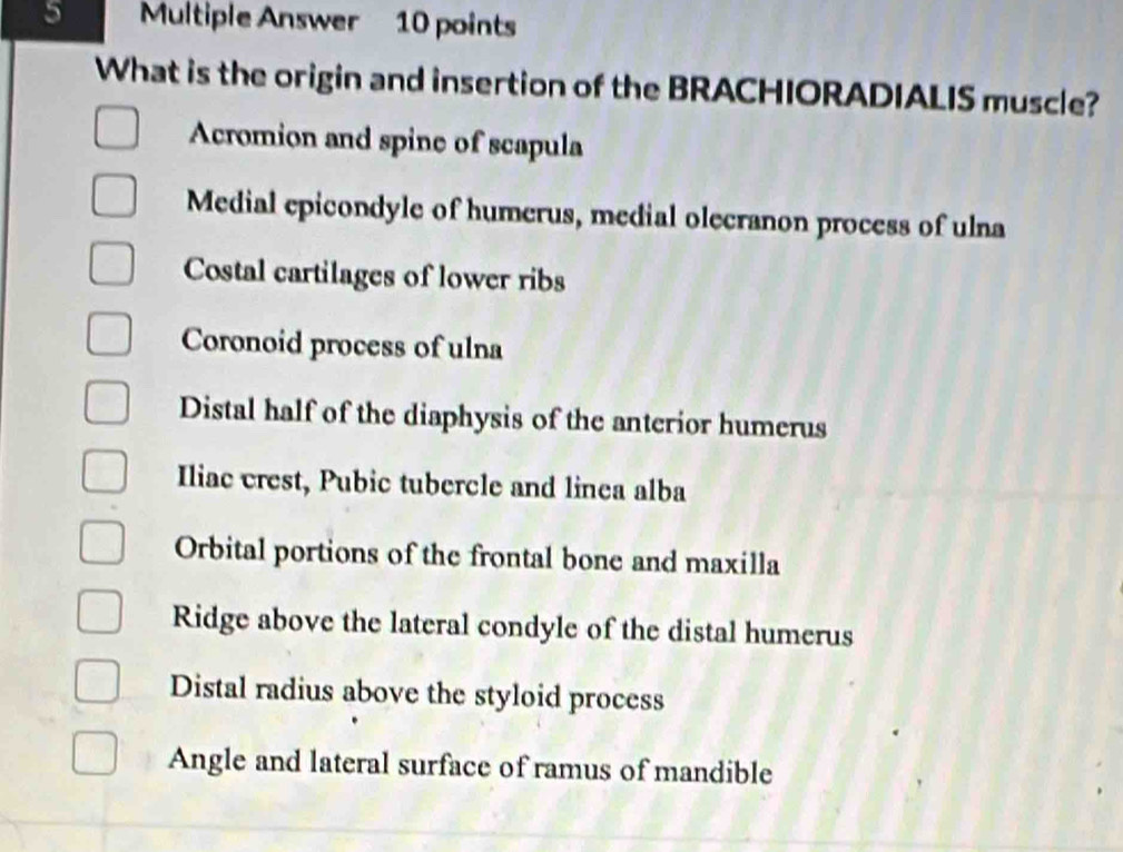 Multiple Answer 10 points
What is the origin and insertion of the BRACHIORADIALIS muscle?
Acromion and spine of scapula
Medial epicondyle of humerus, medial olecranon process of ulna
Costal cartilages of lower ribs
Coronoid process of ulna
Distal half of the diaphysis of the anterior humerus
Iliac crest, Pubic tubercle and linea alba
Orbital portions of the frontal bone and maxilla
Ridge above the lateral condyle of the distal humerus
Distal radius above the styloid process
Angle and lateral surface of ramus of mandible