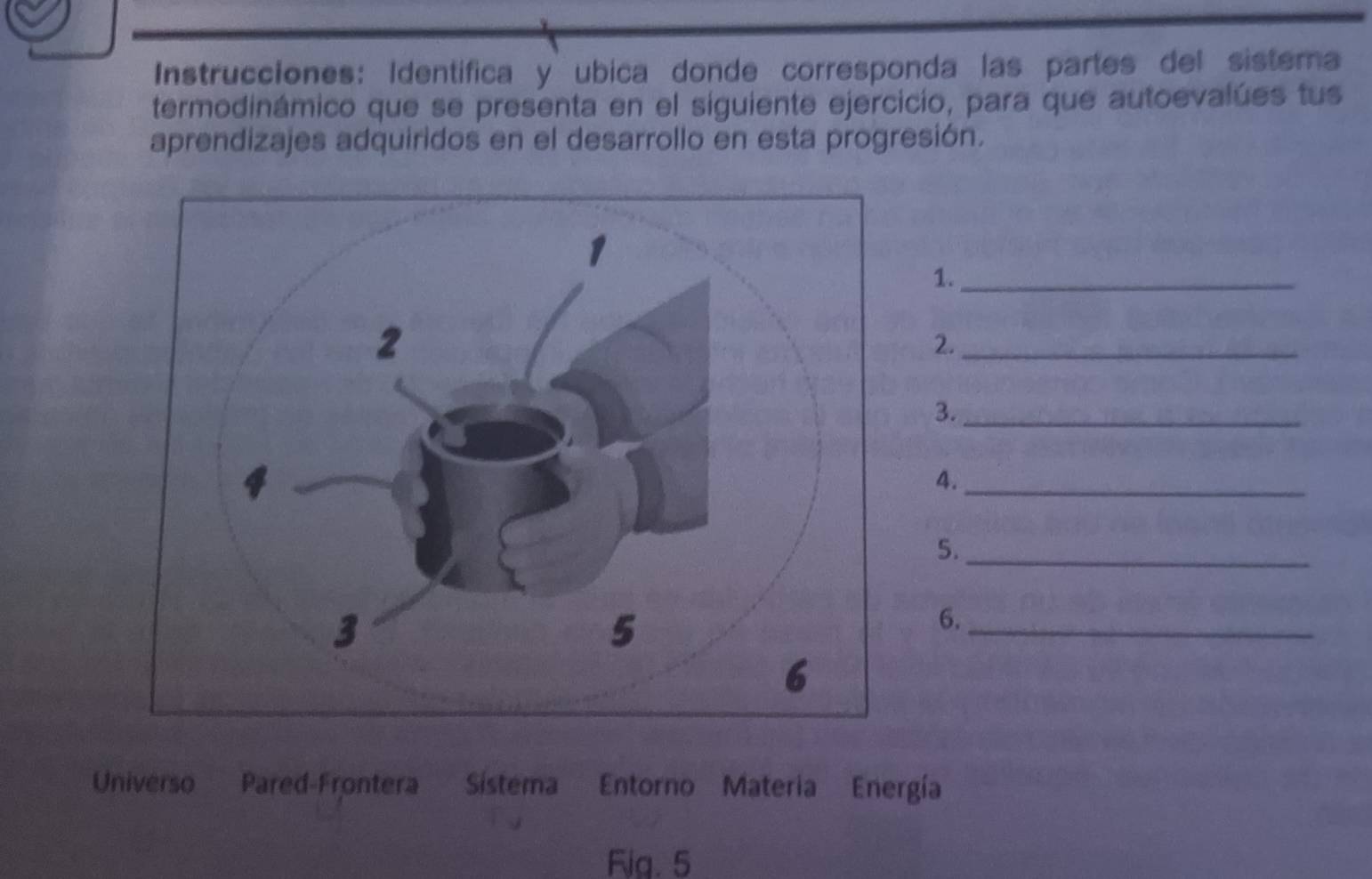 Instrucciones: Identifica y ubica donde corresponda las partes del sistema 
termodinámico que se presenta en el siguiente ejercicio, para que autoevalúes tus 
aprendizajes adquiridos en el desarrollo en esta progresión. 
1._ 
2._ 
3._ 
4._ 
5._ 
6._ 
Universo Pared-Frontera Sístema Entorno Materia Energía 
Fig. 5