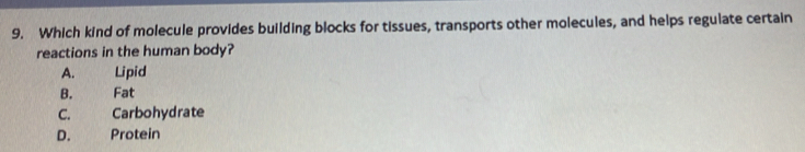 Which kind of molecule provides building blocks for tissues, transports other molecules, and helps regulate certain
reactions in the human body?
A. Lipid
B. Fat
C. Carbohydrate
D. Protein