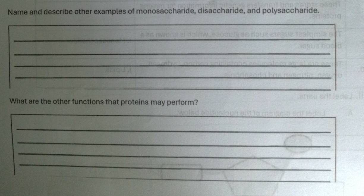 Name and describe other examples of monosaccharide, disaccharide, and polysaccharide. 
_ 
_ 
_ 
_ 
_ 
What are the other functions that proteins may perform? 
_ 
_ 
_ 
_ 
_ 
_