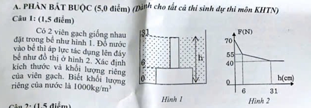 PHÀN BÁT BUQC (5,0 điễm) (Dành cho tất cả thí sinh dự thi môn KHTN)
Câu 1: (1,5 điểm)
Có 2 viên gạch giống nhau 
đặt trong bề như hình 1. Đỗ nước
vào bể thì áp lực tác dụng lên đáy
 
bể như đồ thị ở hình 2. Xác định
kích thước và khối lượng riêng 
của viên gạch. Biết khối lượng
riêng của nước là 1000kg/m^3
Câu 2: (1.5 điểm)