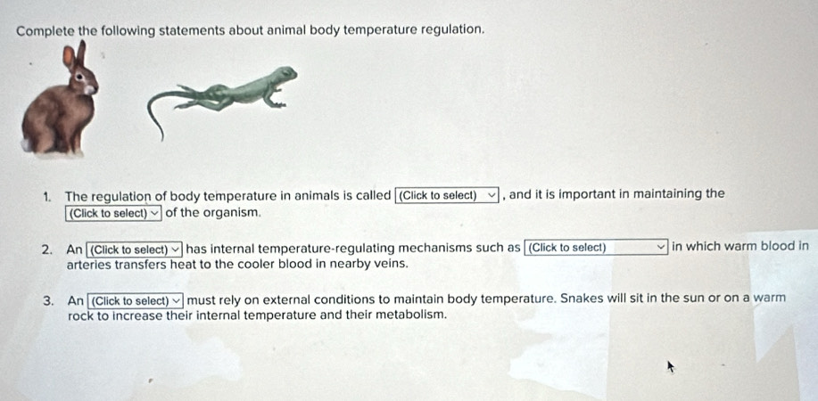 Complete the following statements about animal body temperature regulation. 
1. The regulation of body temperature in animals is called (Click to select) , and it is important in maintaining the 
(Click to select) ~ of the organism. 
2. An (Click to select) has internal temperature-regulating mechanisms such as (Click to select) in which warm blood in 
arteries transfers heat to the cooler blood in nearby veins. 
3. An [(Click to select) ~ must rely on external conditions to maintain body temperature. Snakes will sit in the sun or on a warm 
rock to increase their internal temperature and their metabolism.