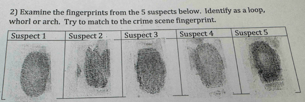 Examine the fingerprints from the 5 suspects below. Identify as a loop, 
whorl or arch. Try to match to the crime scene fingerprint.