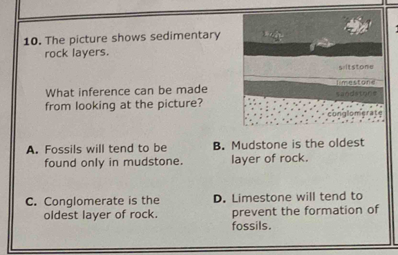 The picture shows sedimentary
rock layers.
siltstone
limestone
What inference can be made sandstone
from looking at the picture?
conglomerate
A. Fossils will tend to be B. Mudstone is the oldest
found only in mudstone. layer of rock.
C. Conglomerate is the D. Limestone will tend to
oldest layer of rock. prevent the formation of
fossils.