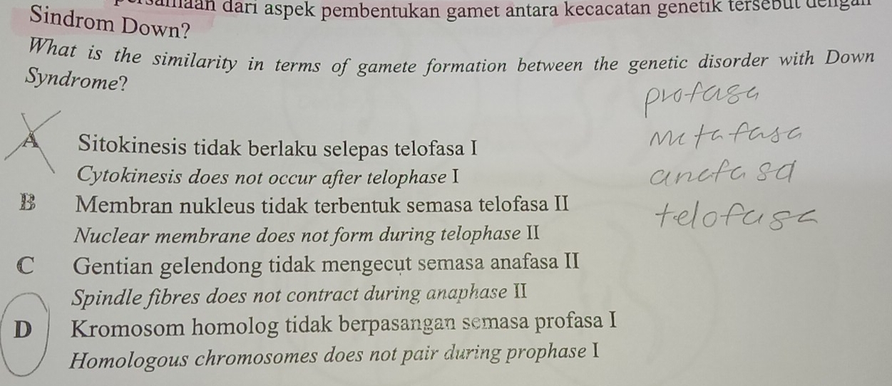 samaan darı aspek pembentukan gamet antara kecacatan genetık tersebut dengan
Sindrom Down?
What is the similarity in terms of gamete formation between the genetic disorder with Down
Syndrome?
À Sitokinesis tidak berlaku selepas telofasa I
Cytokinesis does not occur after telophase I
B Membran nukleus tidak terbentuk semasa telofasa II
Nuclear membrane does not form during telophase II
C Gentian gelendong tidak mengecut semasa anafasa II
Spindle fibres does not contract during anaphase II
D Kromosom homolog tidak berpasangan semasa profasa I
Homologous chromosomes does not pair during prophase I