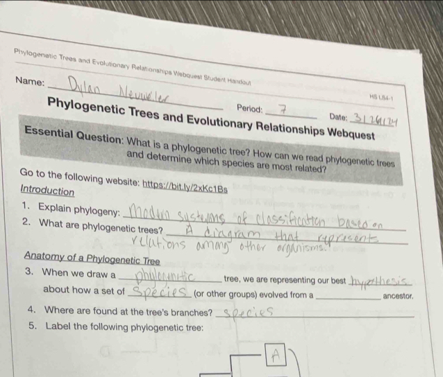 Solved: Phylogenatic Trees and Evolutionary Relationships Webquest ...