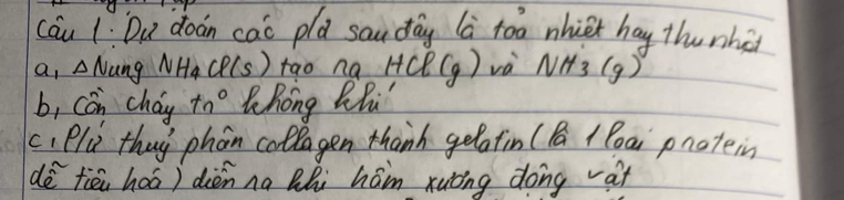 cáu 1: Du doan cao pla sauday la toa nhiet hay thu nhi 
a, ANang NH_4CP(s) tao na HCl(g) và NH_3(g)
b, Con chay tn° Whong Zhi 
ci Plu thuy phon collagen thanh gelatin (B1 Poa pnoteing 
dē fiēn hoá) dièn na thi hám xuòng dong at