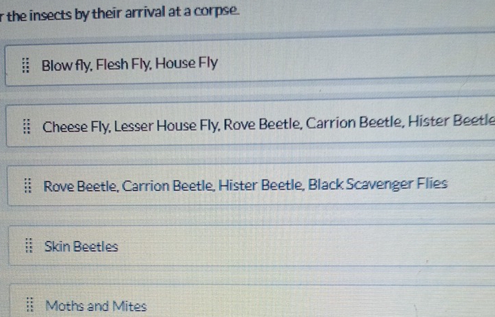 the insects by their arrival at a corpse. 
Blow fly, Flesh Fly, House Fly 
Cheese Fly, Lesser House Fly, Rove Beetle, Carrion Beetle, Hister Beetle 
Rove Beetle, Carrion Beetle, Hister Beetle, Black Scavenger Flies 
Skin Beetles 
Moths and Mites