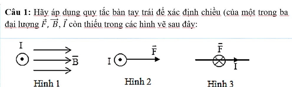 Hãy áp dụng quy tắc bàn tay trái để xác định chiều (của một trong ba 
đại lượng vector F, vector B 7 còn thiếu trong các hình vẽ sau đây:
vector F
overline F
overline B I 
I 
Hình 1 Hình 2 Hình 3