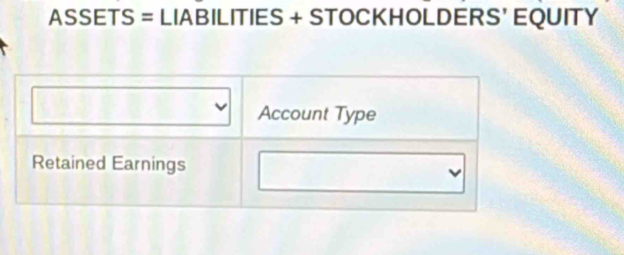 ASSETS = LIABILITIES + STOCKHOLDERS' EQUITY