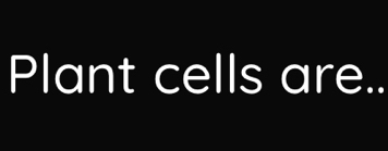 Plant cells are..