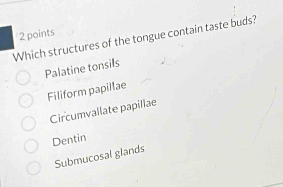 Which structures of the tongue contain taste buds?
Palatine tonsils
Filiform papillae
Circumvallate papillae
Dentin
Submucosal glands