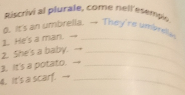 Riscrivi al plurale, come nell'esempie, 
0. It's an umbrella. → They're umbrellas 
1. He's a man._ 
2. She's a baby._ 
3. It's a potato._ 
4. It's a scarf._