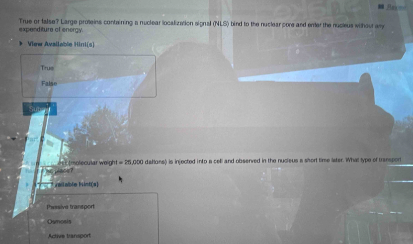 Reyen
True or false? Large proteins containing a nuclear localization signal (N (S) bind to the nuclear pore and enter the nucleus without any
expenditure of energy.
View Available Hint(s)
True
False
Sut
el (molecular weight =25,000 daltons) is injected into a cell and observed in the nucleus a short time later. What type of transport
place ?
vailable Hint(s)
Passive transport
Osmosis
Active transport