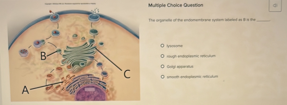 Solved: ltiple Choice Question organelle of the endomembrane system ...