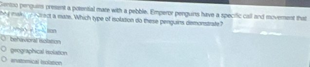 Gentoo penguias present a potential mate with a pebble. Emperor penguins have a specific call and movement that
hey maki o wrect a mate. Which type of isolation do these penguins demonstrate?
∴ △ m(x)+mx+lion
behavioral isolation
geographical isolation
enatomical (solation