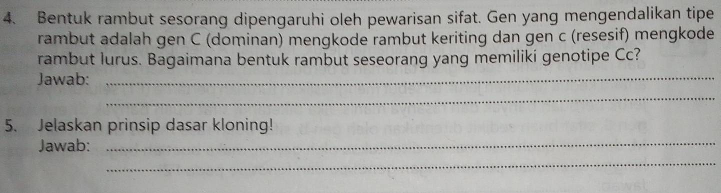 Bentuk rambut sesorang dipengaruhi oleh pewarisan sifat. Gen yang mengendalikan tipe 
rambut adalah gen C (dominan) mengkode rambut keriting dan gen c (resesif) mengkode 
rambut lurus. Bagaimana bentuk rambut seseorang yang memiliki genotipe Cc? 
Jawab:_ 
_ 
5. Jelaskan prinsip dasar kloning! 
Jawab: 
_ 
_