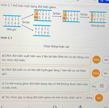 Hình 2.1 thể hiện một dạng đột biến gene.
Hình 2.1
Chọn đúng hoặc sai
a) DNA đột biến xuất hiện sau 3 lần tái bản DNA khi có tác động của
tác nhân đột biến. Đúng Sai
b) DNA đột biến có số liên kết hydrogen tăng 1 liên kết so với DNA Đứng
gốc. Sai
c) Cá thể mang gene đột biến dạng này có thể không được biểu hiện Đú 8
ra kiểu hình.
d) Tác nhân gây ra dạng đột biến gene nói trên là tác nhân vật lí. Đúng Sai