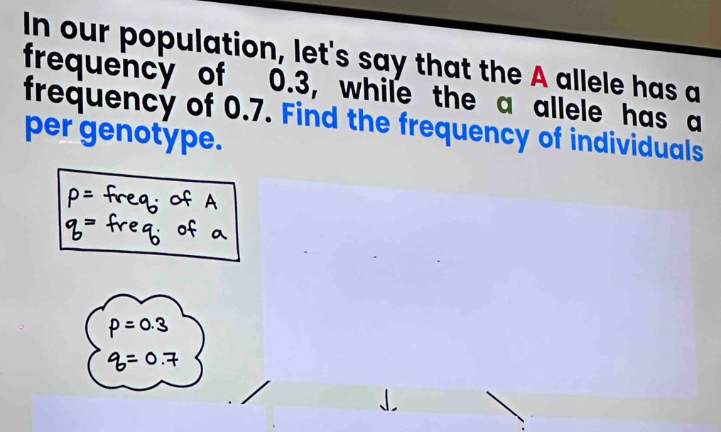 In our population, let's say that the A allele has a 
frequency of 0.3, while the a allele has a 
frequency of 0.7. Find the frequency of individuals 
per genotype.