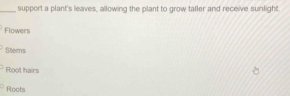 support a plant's leaves, allowing the plant to grow taller and receive sunlight.
Flowers
Stems
Root hairs
Roots