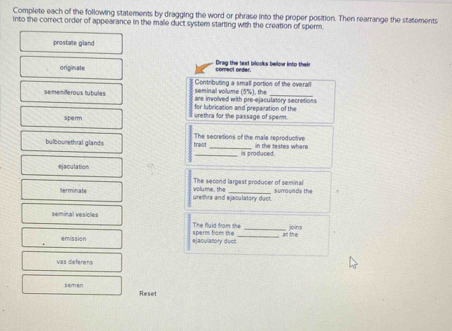 Complete each of the following statements by dragging the word or phrase into the proper position. Then rearrange the statements 
into the correct order of appearance in the male duct system starting with the creation of sperm. 
prostate gland 
Drag the text blocks below into their 
originate correct order. 
Contributing a small portion of the overall 
seminal volume (5%), the 
semeniferous tubules are involved with pre-ejaculatory secretions 
for lubrication and preparation of the 
sperm urethra for the passage of sperm. 
The secretions of the male reproductive 
bulbourethral glands tract _in the testes where 
_is produced. 
ejaculation 
The second largest producer of seminal 
volume, the 
terminate urethra and ejaculatory duct. surrounds the 
seminal vesicles 
The fluid from the 
sperm from the _joins 
emission ejaculatory duct_ at the 
vas deferens 
semen 
Reset