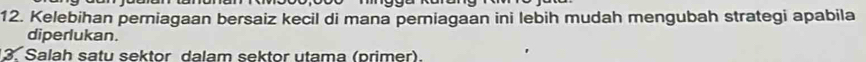 Kelebihan perniagaan bersaiz kecil di mana perniagaan ini lebih mudah mengubah strategi apabila 
diperlukan. 
3. Salah satu sektor dalam sektor utama (primer).