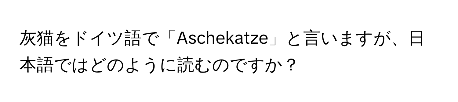 灰猫をドイツ語で「Aschekatze」と言いますが、日本語ではどのように読むのですか？