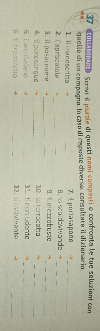 COLLABORARE Scrivi il plurale di questi nomi composti e confronta le tue soluzioni con 
quelle di un compagno. In caso di risposte diverse, consultate il dizionario. 
1. il manoscritto _7. il portasapone_ 
2. l'apriscatole _8. lo scaldavivande_ 
3. il posacenere _9. il mezzobusto_ 
4. il purosangue _10. la terracotta_ 
5. l'arcobaleno _11. il non udente_ 
_ 
6. il senzatetto _12. il malvivente